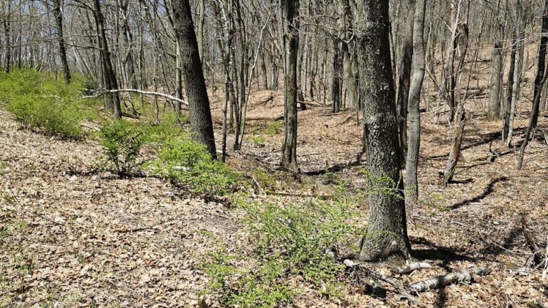 Mountaintop D&L Trailhead - Mountain Top, PA