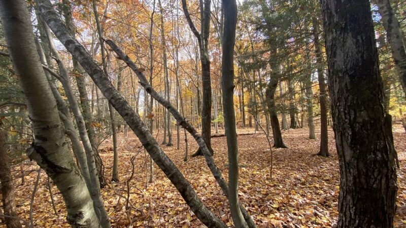 Wright Township Recreation Park - Mountain Top, PA
