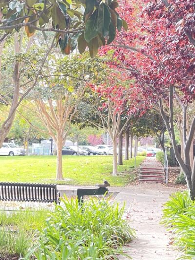 Chetwood Park - Mountain View, CA