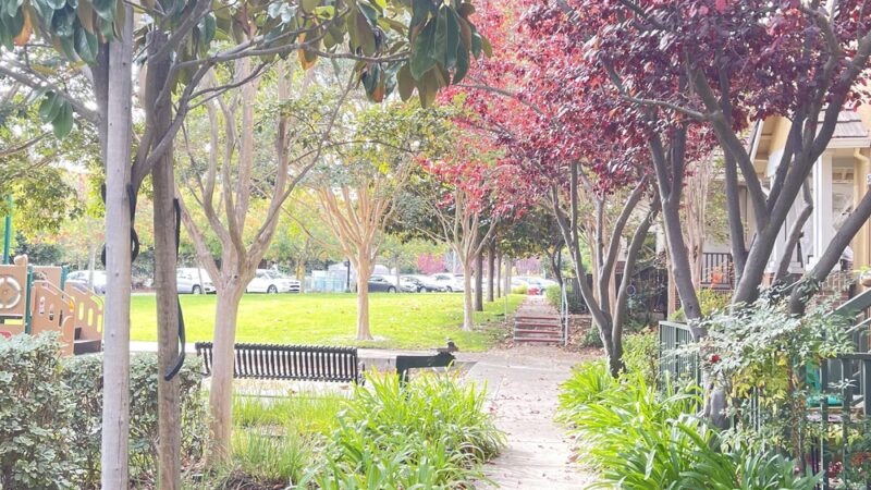 Chetwood Park - Mountain View, CA