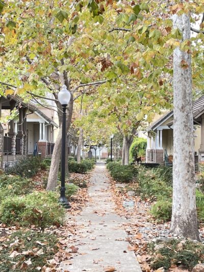 Chetwood Park - Mountain View, CA