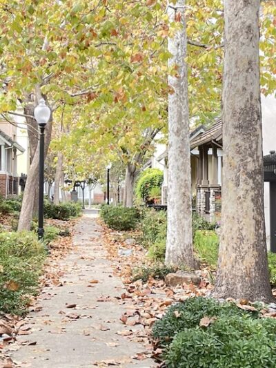 Chetwood Park - Mountain View, CA