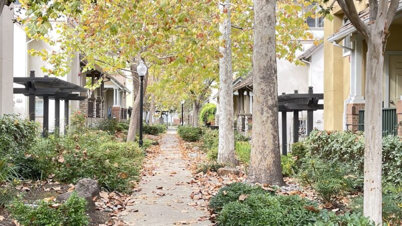 Chetwood Park - Mountain View, CA