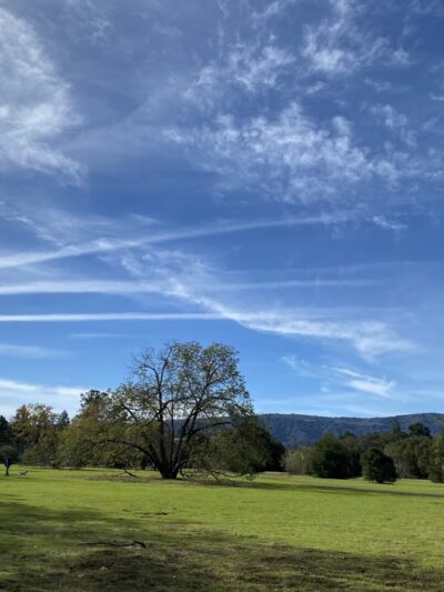 Cuesta Park Annex - Mountain View, CA