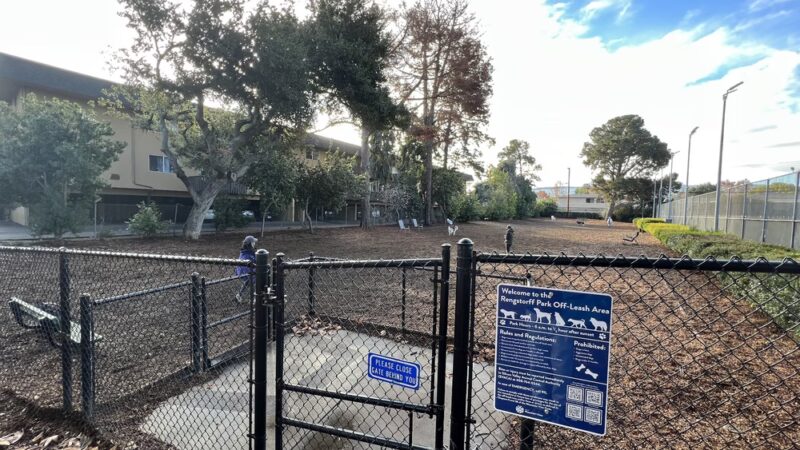 Fenced Dog Park | Rengstorff Park - Mountain View, CA