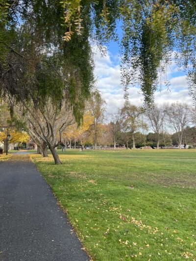 Fenced Dog Park | Rengstorff Park - Mountain View, CA