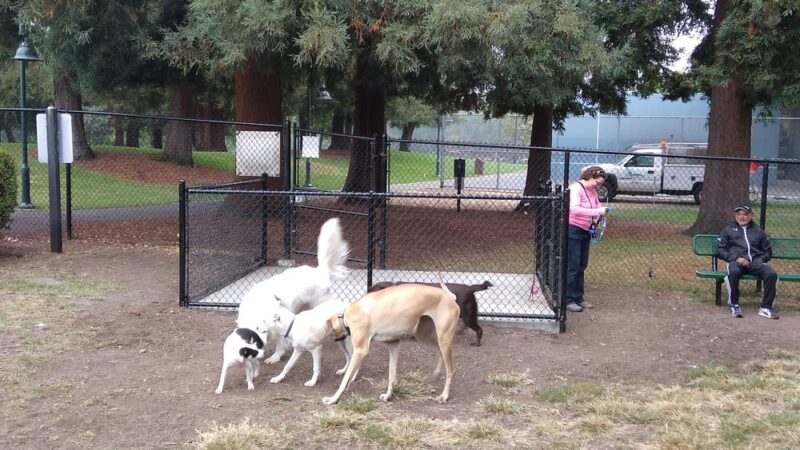 Fenced Dog Park | Rengstorff Park - Mountain View, CA
