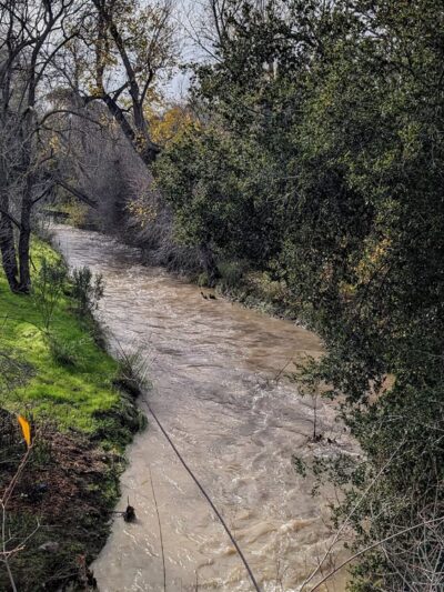 Stevens Creek Trail Central Avenue Entrance - Mountain View, CA