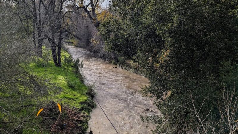 Stevens Creek Trail Central Avenue Entrance - Mountain View, CA