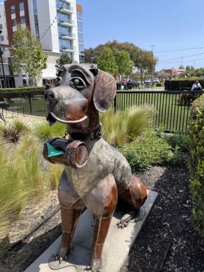 Village Green Dog Park - Mountain View, CA