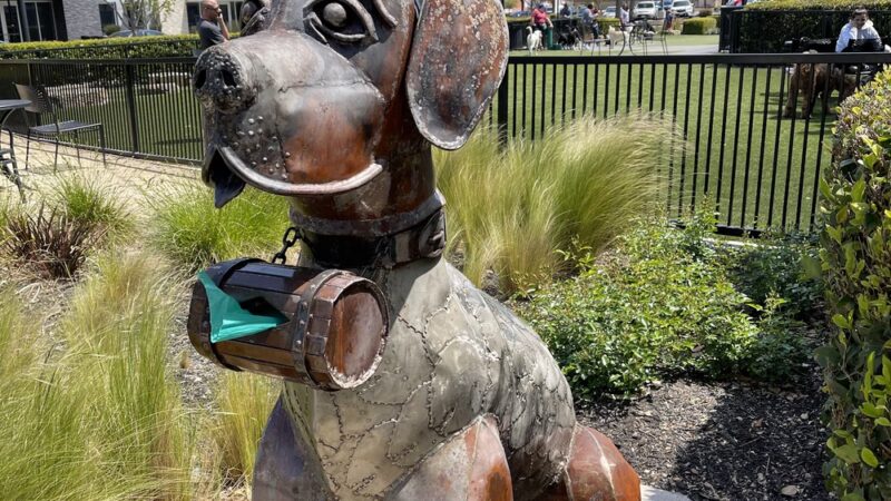 Village Green Dog Park - Mountain View, CA