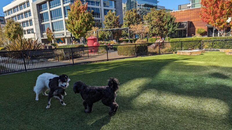 Village Green Dog Park - Mountain View, CA