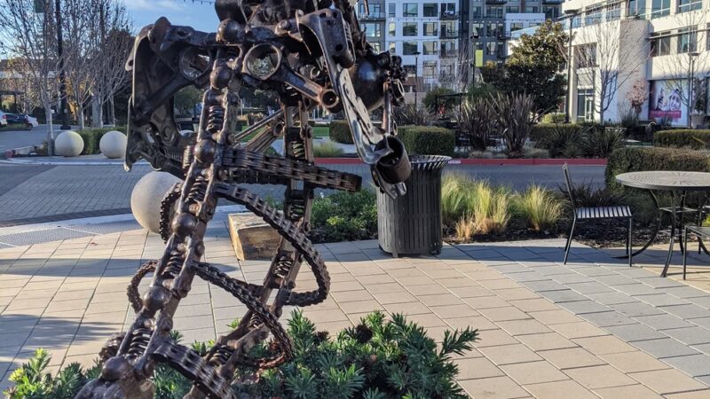 Village Green Dog Park - Mountain View, CA