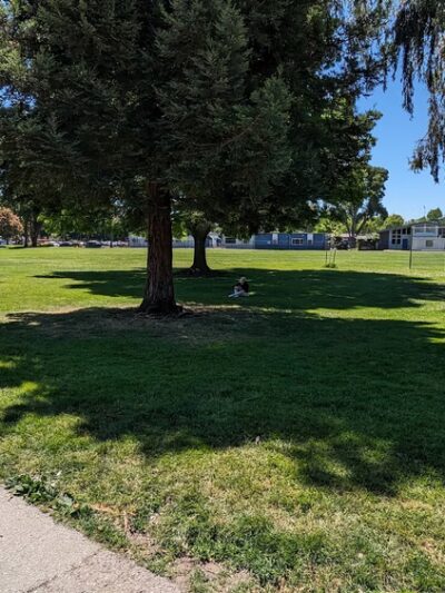 Whisman Dog Park - Mountain View, CA