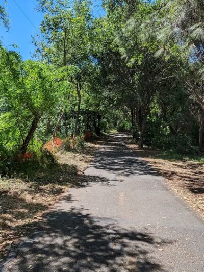 Whisman Dog Park - Mountain View, CA