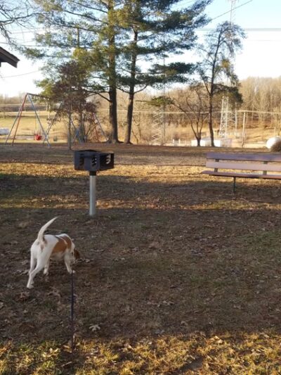 West Side Park - Mountain View, MO