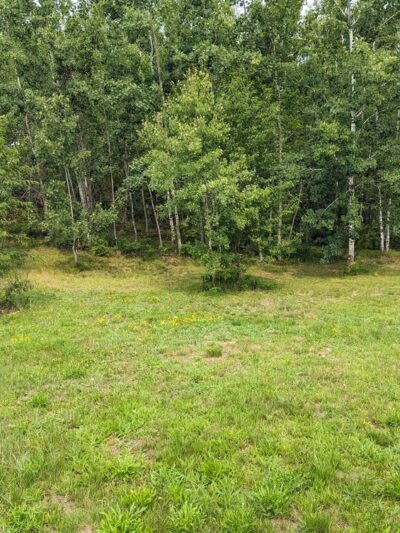 Safe Haven Dog Park - Mountain, WI
