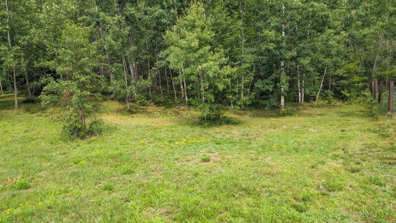 Safe Haven Dog Park - Mountain, WI