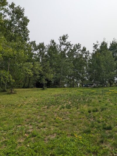 Safe Haven Dog Park - Mountain, WI