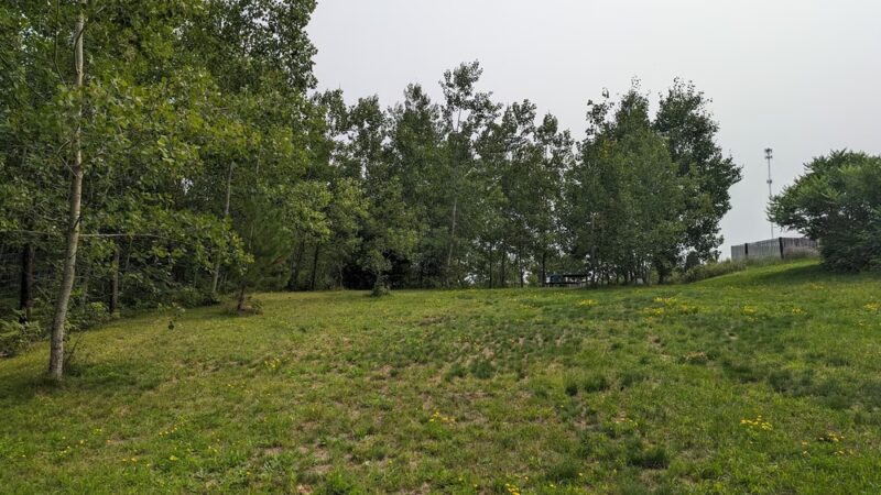 Safe Haven Dog Park - Mountain, WI