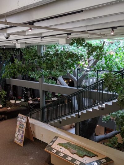 Trailside Nature & Science Center - Mountainside, NJ