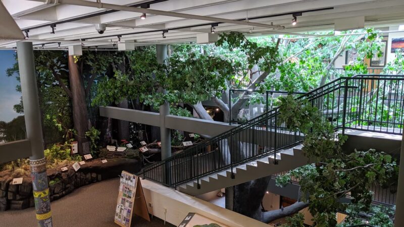 Trailside Nature & Science Center - Mountainside, NJ