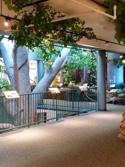 Trailside Nature & Science Center - Mountainside, NJ