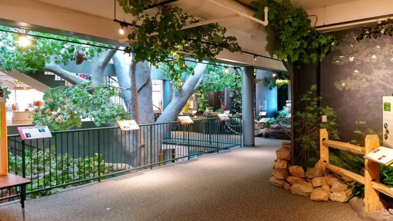 Trailside Nature & Science Center - Mountainside, NJ
