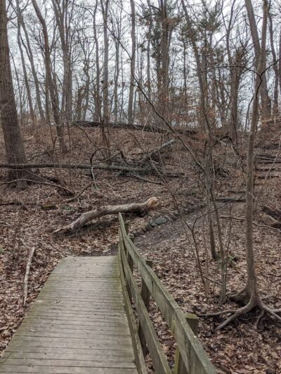 Trailside Nature & Science Center - Mountainside, NJ