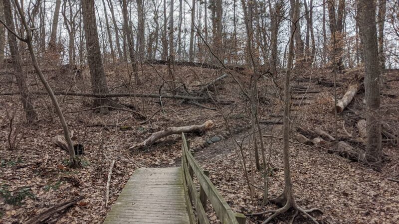 Trailside Nature & Science Center - Mountainside, NJ