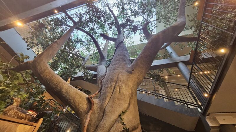 Trailside Nature & Science Center - Mountainside, NJ