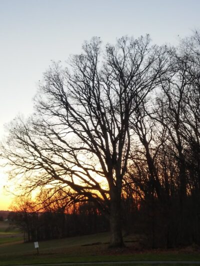 Lockard Park - Mountville, PA