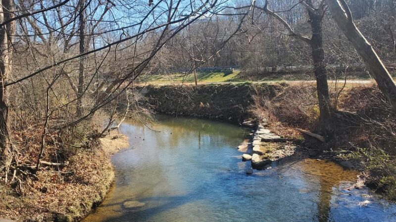 Emily B Taylor Greenway - Mt Airy, NC