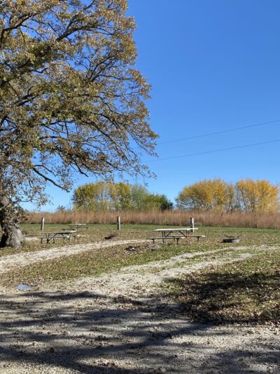 Fife's Grove Park & Campground - Mt Ayr, IA