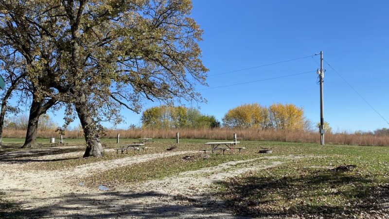 Fife's Grove Park & Campground - Mt Ayr, IA