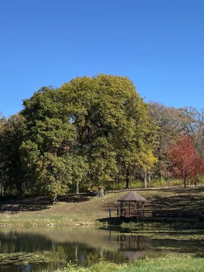 Fife's Grove Park & Campground - Mt Ayr, IA