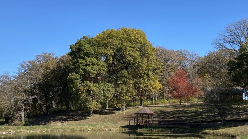 Fife's Grove Park & Campground - Mt Ayr, IA
