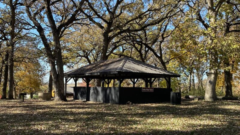 Fife's Grove Park & Campground - Mt Ayr, IA