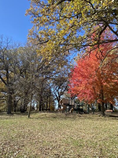 Fife's Grove Park & Campground - Mt Ayr, IA