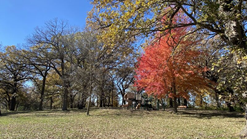 Fife's Grove Park & Campground - Mt Ayr, IA