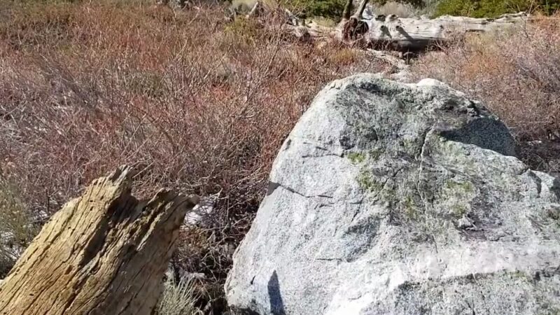 Baldy Bowl Trailhead - Mt Baldy, CA