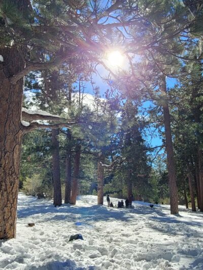 Baldy Bowl Trailhead - Mt Baldy, CA