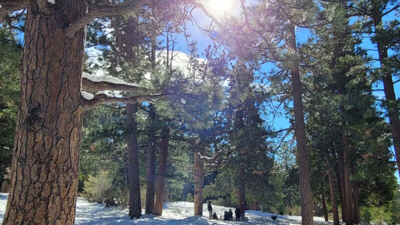 Baldy Bowl Trailhead - Mt Baldy, CA