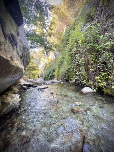 Barrett-Stoddard Canyon Falls - Mt Baldy, CA