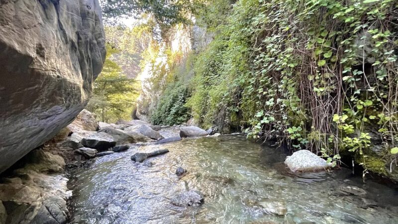 Barrett-Stoddard Canyon Falls - Mt Baldy, CA