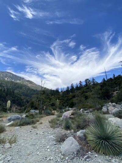 Barrett-Stoddard Canyon Falls - Mt Baldy, CA