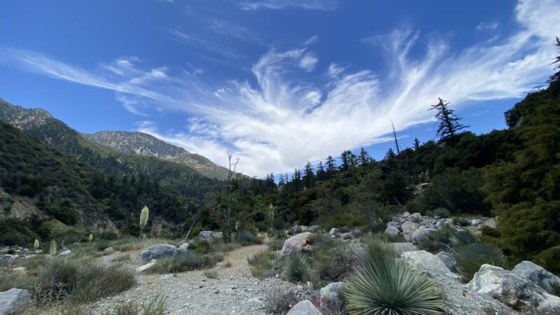 Barrett-Stoddard Canyon Falls - Mt Baldy, CA