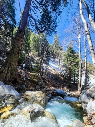 Icehouse Canyon Trailhead - Mt Baldy, CA