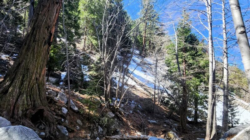 Icehouse Canyon Trailhead - Mt Baldy, CA