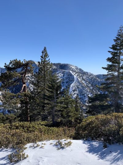 Mt Baldy Trailhead - Mt Baldy, CA